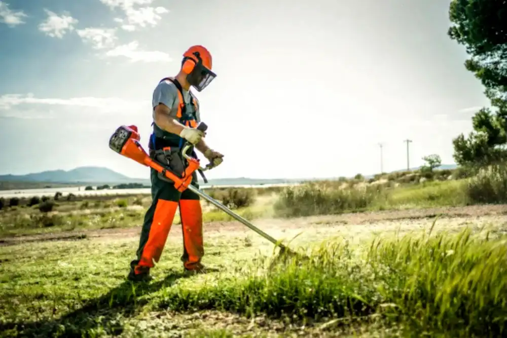 علف زن و چمن زن