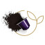 کپسول قهوه 10 عددی نسپرسو آرپجینو nespresso firenze arpeggio