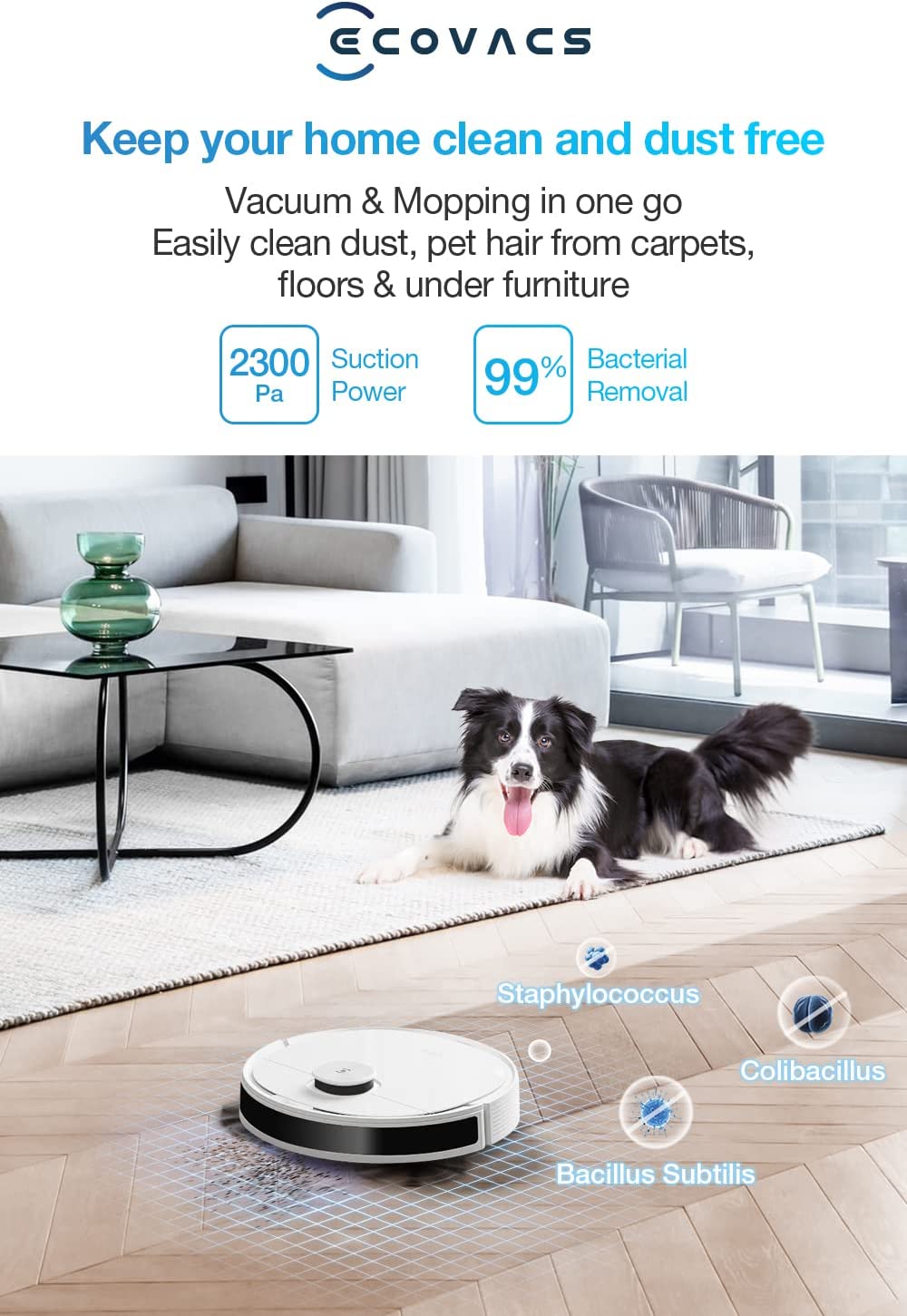 جارو برقی رباتیک مدل ‎ ECOVACS DEEBOT N8 DLN26-21EP